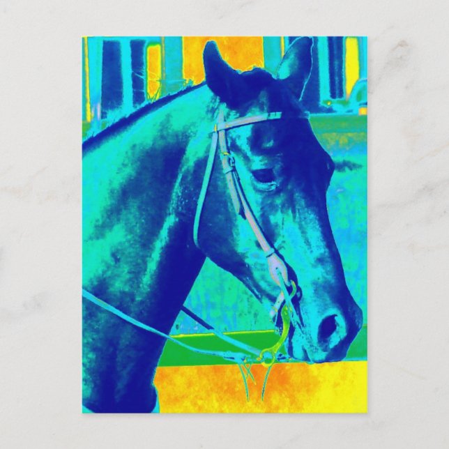 Colorful Western Horse Postcard (Front)