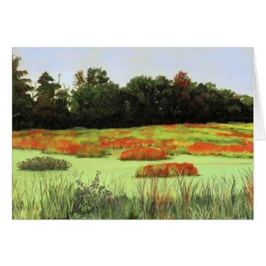 Colorful Wetlands Cards (Front Horizontal)