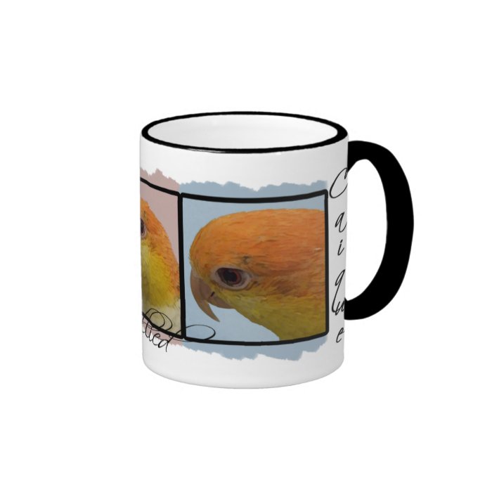 Colorful White Bellied Caique Mug