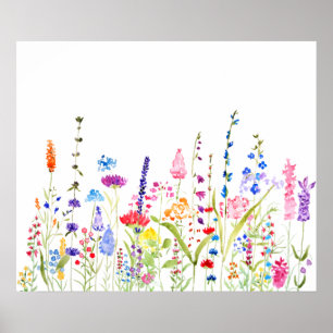 colorful wild flower field poster