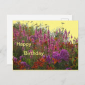 Colorful Wild Flowers Happy Birthday Postcard (Front/Back)