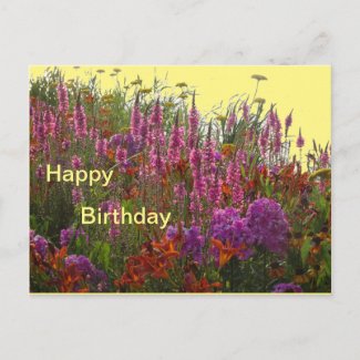Colorful Wild Flowers Happy Birthday Postcard