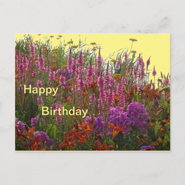 Colorful Wild Flowers Happy Birthday Postcard (Front)