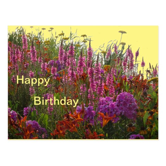 Colorful Wild Flowers Happy Birthday Postcard