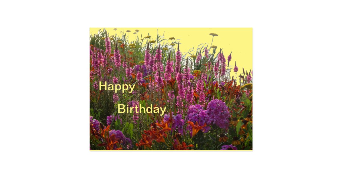 Colorful Wild Flowers Happy Birthday Postcard | Zazzle.com