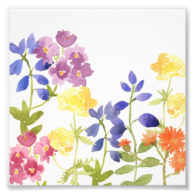 Colorful Wild Flowers Watercolour Photo Print (Front)
