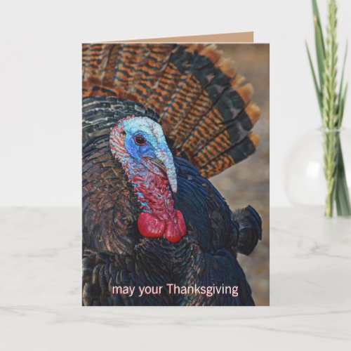 Colorful Wild Turkey Thanksgiving Cute Unique Holiday Card