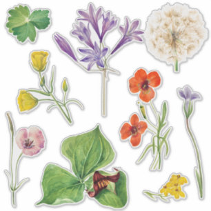Colorful Wildflower Country Wedding Decor Sticker