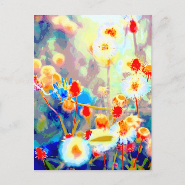 Colorful Wildflower Floral Postcard (Front)