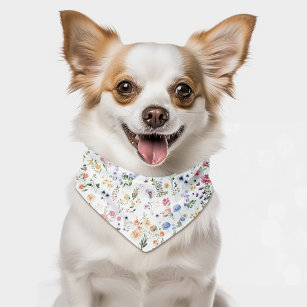 Las Vegas Football — Personalized Dog Bandanas