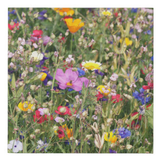 Colorful wildflower meadow, vibrant pattern. faux canvas print