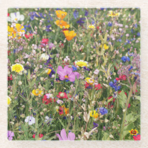 Colorful wildflower meadow, vibrant pattern. glass coaster