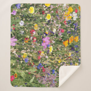 Colorful wildflower meadow, vibrant pattern. sherpa blanket