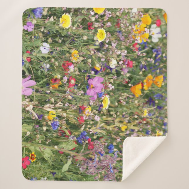 Colorful wildflower meadow, vibrant pattern. sherpa blanket (Front)