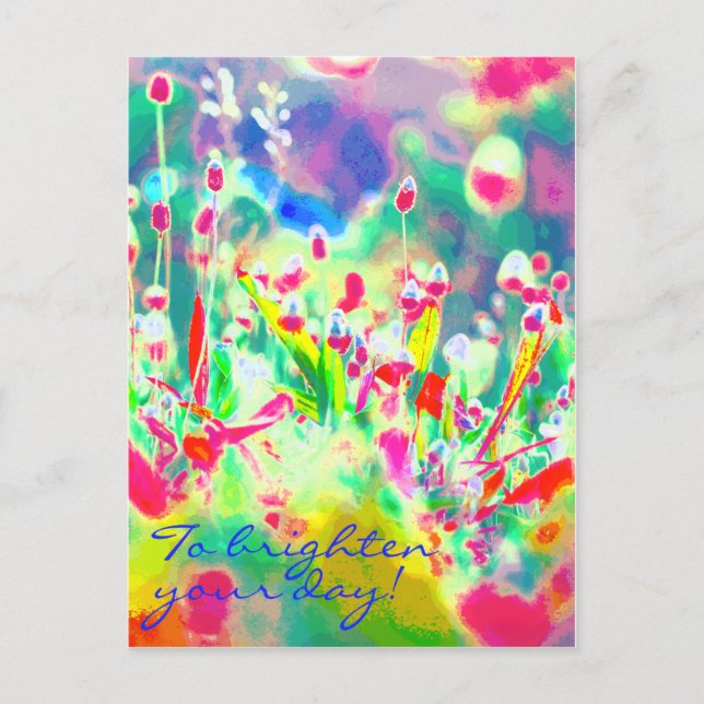 Colorful Wildflower Thinking Of You Flower Postcard (Front)