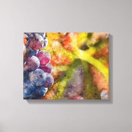 Colorful Wine Grapes on the Vine Canvas Print