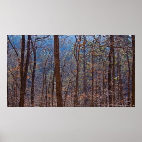 Colorful Winter Forest at Dawn Poster