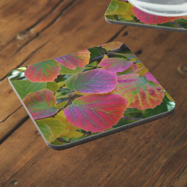 Colorful Witch-Alder Leaves Botanical Beverage Coaster (In Situ)