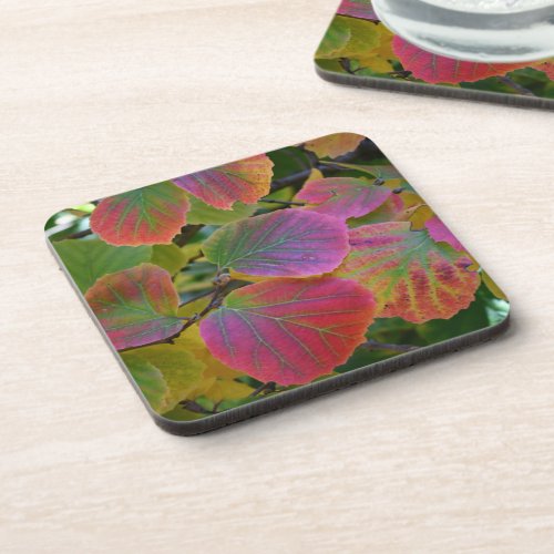 Colorful Witch_Alder Leaves Botanical Beverage Coaster