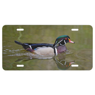 Colorful wood duck license plate