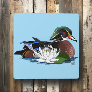 Colorful Wood Duck Water Lily Wildlife Blue Square Wall Clock