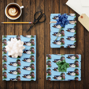 Colorful Wood Duck Water Lily Wildlife Blue Wrapping Paper Sheets