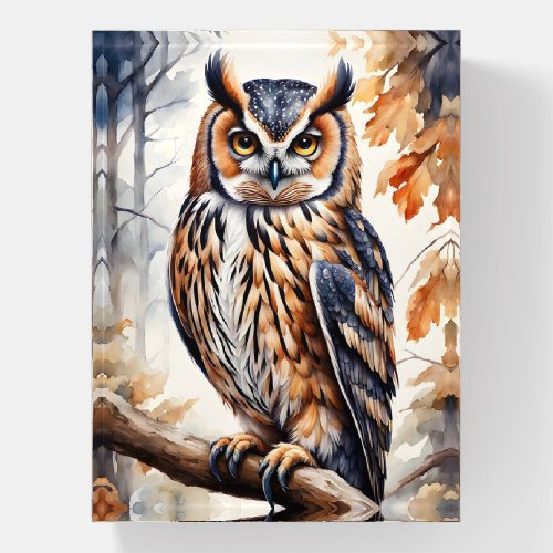 Colorful Wood Owl on Tree Branch Paperweight