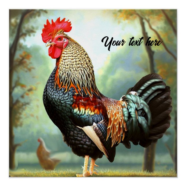 Colorful Wyandotte Rooster Poster (Front)