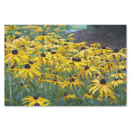 Colorful Yellow Black Eyed Susan Floral Photo Tissue Paper