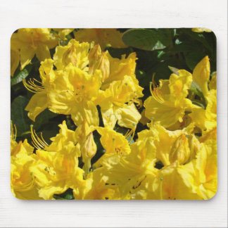 Colorful Yellow Rhodies Flower Garden mousepad