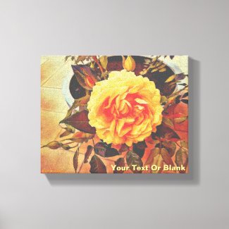 Colorful Yellow Rose