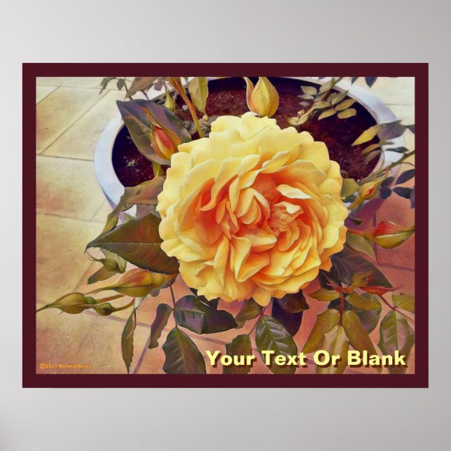 Colorful Yellow Rose Poster (Front)