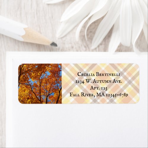 Colorful Yellw_Orange Sugar Maple Foliage  Fall Label