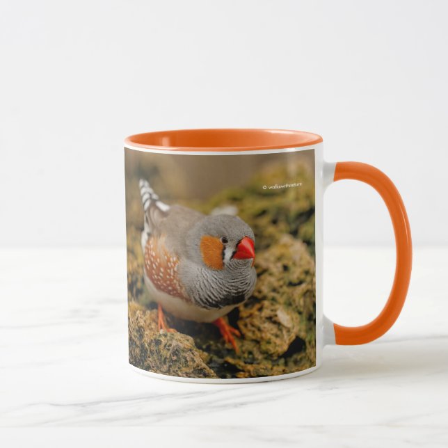 Colorful Zebra Finch Songbird on the Rocks Mug (Right)