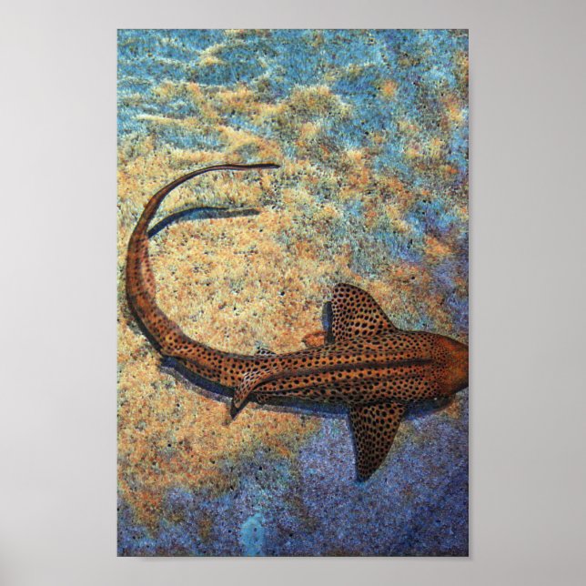 Colorful Zebra Shark Poster (Front)