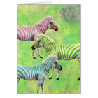 Colorful Zebras