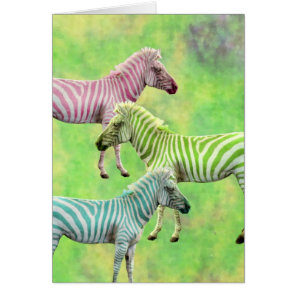 Colorful Zebras Cards
