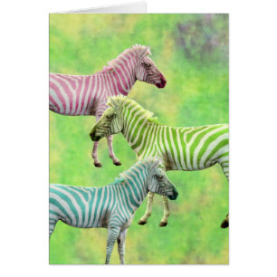 Colorful Zebras Cards