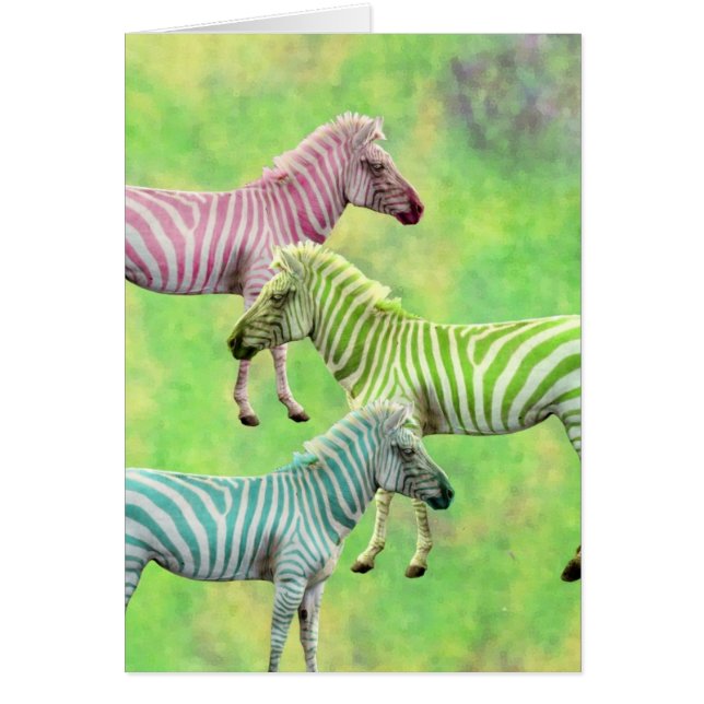 Colorful Zebras Cards (Front)