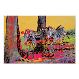 Colorful Zebras  Photo Print
