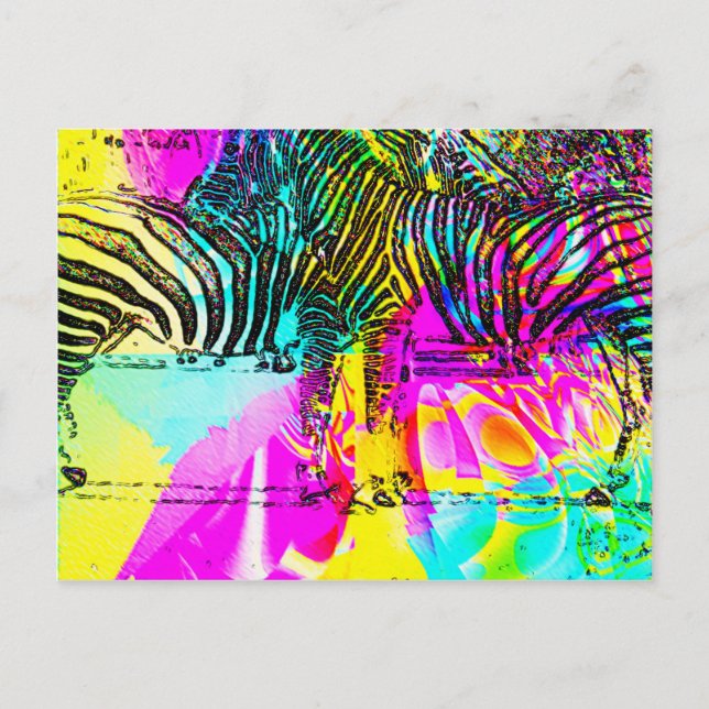 Colorful Zebras Postcard (Front)