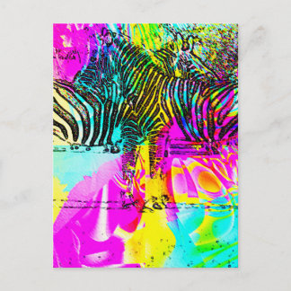 Colorful Zebras Postcard