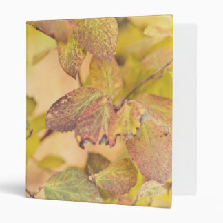Colorfull leaves Binder