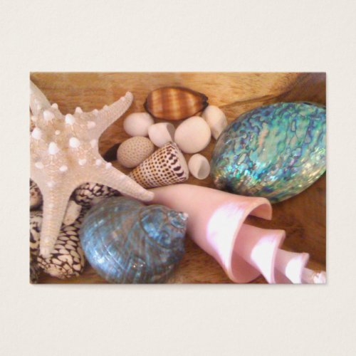 colorfull multiple sea shell arrangement business card template
