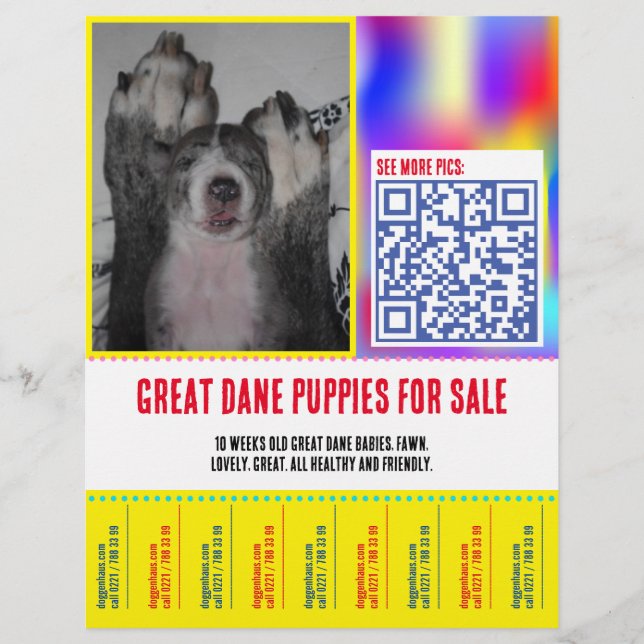 Colorfull tear off puppy selling flyer  (Front)