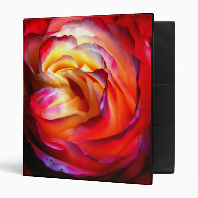 Colori Brillanti 3 Ring Binder (Front/Inside)