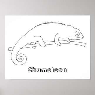 Coloring Chameleon Outline Drawing Posters