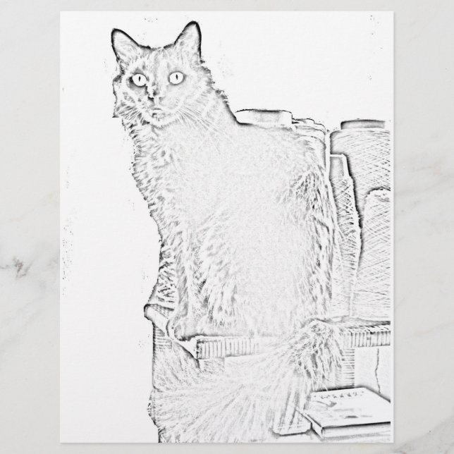 Coloring Page - Cat with Spools of Yarn (Front)