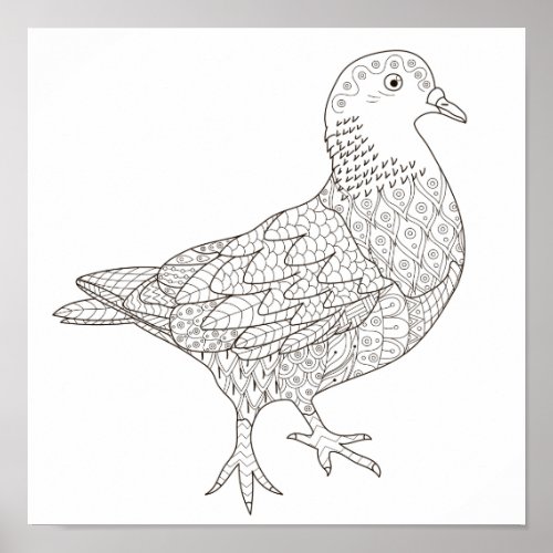 Coloring Page Fancy Pigeon Poster