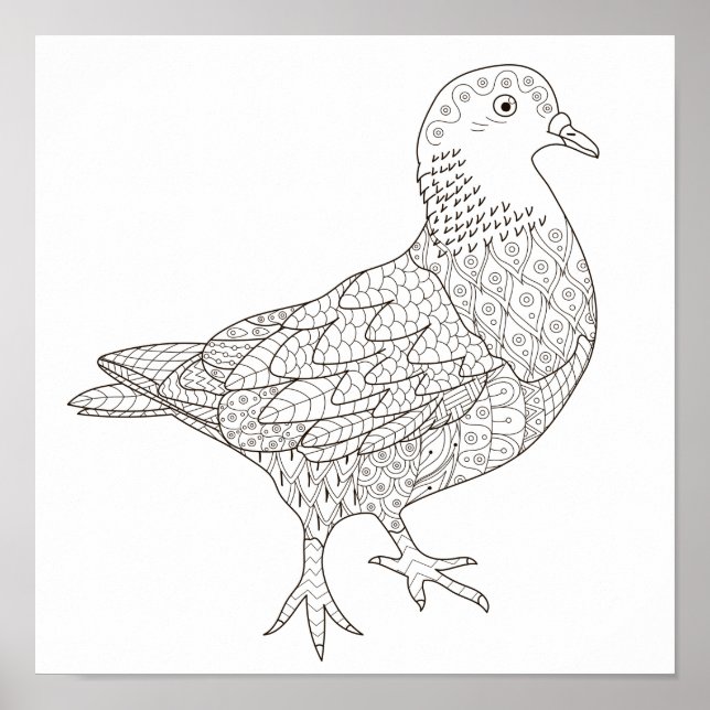 Coloring Page Fancy Pigeon Poster (Front)